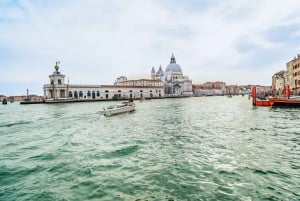 Venice: Grand Canal Boat Tour