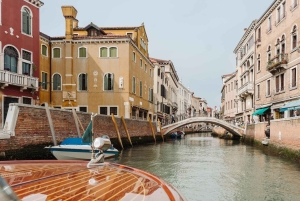Venice: Grand Canal by Boat with Expert Guide
