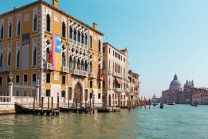 Venice: Grand Canal by Gondola with Live Commentary