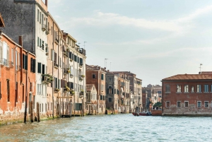 Venice: Grand Canal Private Boat Trip