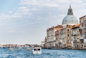 Venice: Grand Canal Private Boat Trip