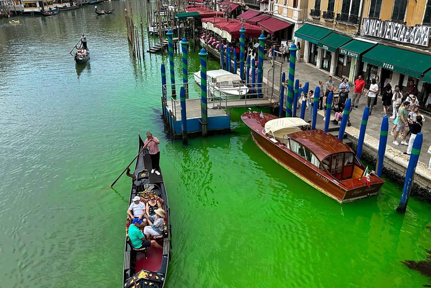 Venice: Guided Walking Tour and Gondola Ride