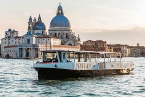 Venise : Murano, Burano et Torcello : visite à arrêts multiples multiples
