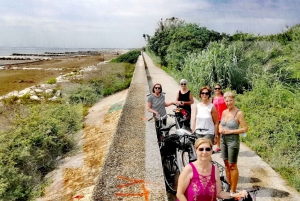 Venice Lido: Bike Tour with a Local on the Island of Cinema