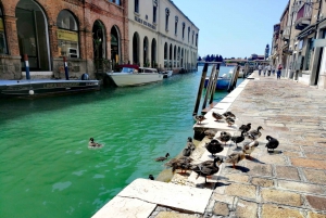 Venetië: Wandeltour Mazzorbo, Burano en het eiland Murano