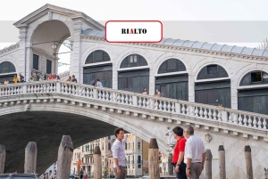 Venice: Medieval Guided Walking Tour & History Gallery Visit