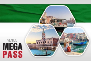 MegaCombo de Venecia: Palacio Ducal, góndola y transporte