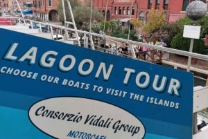 Venise : excursion d'une demi-journée à Murano et Burano