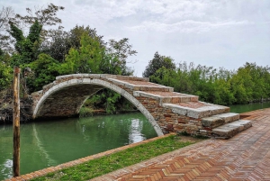Venice: Murano, Burano, and Torcello Islands Private Tour