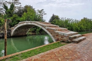 Venise : Visite privée des îles de Murano, Burano et Torcello