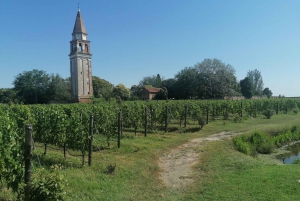 The islands of Venice. Torcello Burano Murano