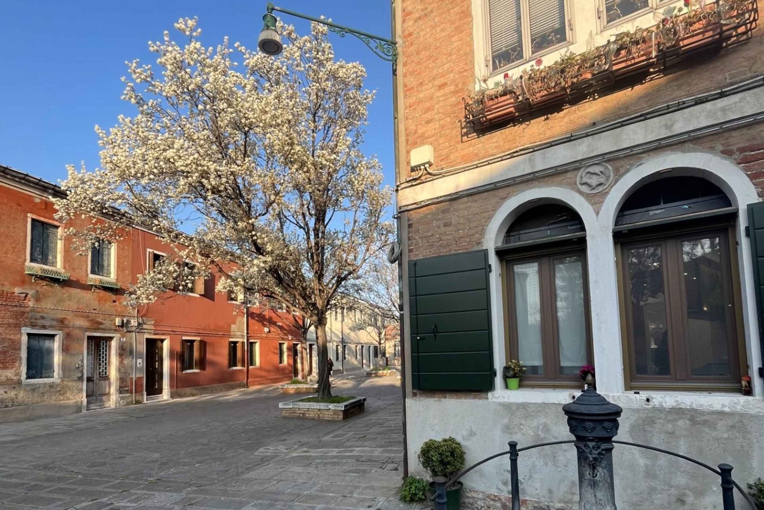 Venise : visite à pied de Murano et expérience de soufflage de verre