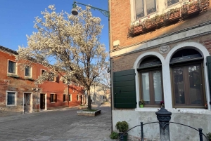 Venise : visite à pied de Murano et expérience de soufflage de verre