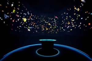 Venedig: Inträdesbiljett till naturhistoriska museet