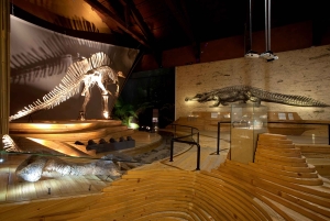 Venedig: Inträdesbiljett till naturhistoriska museet