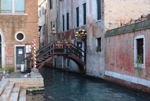 Tour di Venezia di un giorno