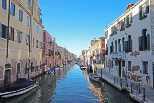 Tour di Venezia di un giorno