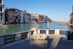 Venice: Peggy Guggenheim Collection Tour with Private Guide