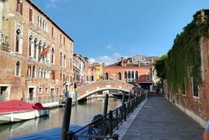 Venice: Private Accademia Gallery and Dorsoduro Tour