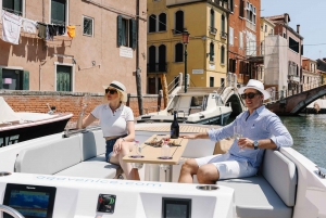 Venice: Private Canal Cruise by Electric Boat