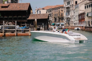 Venice: Private Canal Cruise by Electric Boat