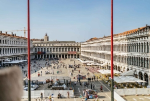 Venice: Private Entry Doge Palace & St. Mark Terraces Tour