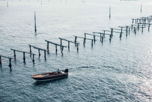 Venise : Croisière privée sur Murano, Burano et Torcello