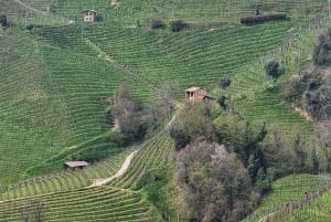 venice : Prosecco Hills Tour with tasting and wine!!