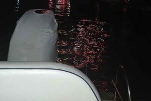 Venecia: Crucero relajante y romántico en la laguna de Venecia