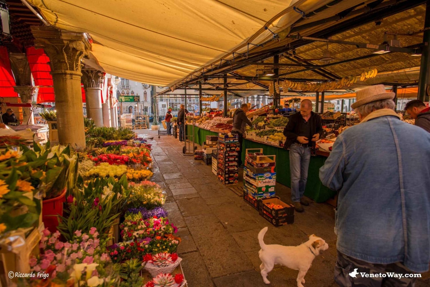Venice: Rialto Market Food Tour with 3 Tastings