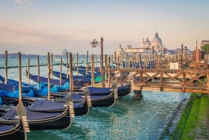 Venice: Romantic Gondola tour and Dinner for two