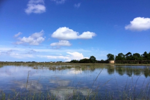 Venise : Sant'Erasmo, Vignole et excursion en kayak sur la lagune