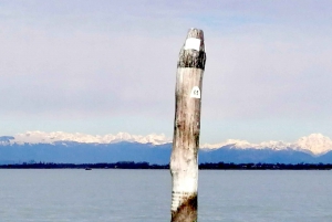 Venise : Sant'Erasmo, Vignole et excursion en kayak sur la lagune