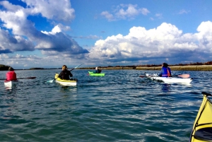 Venise : Sant'Erasmo, Vignole et excursion en kayak sur la lagune