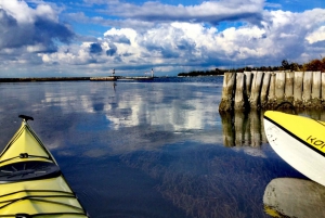 Venise : Sant'Erasmo, Vignole et excursion en kayak sur la lagune