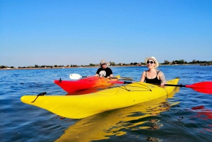 Venise : Sant'Erasmo, Vignole et excursion en kayak sur la lagune