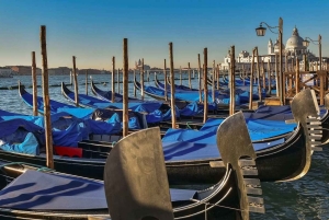 Venice: Shared Gondola Tour
