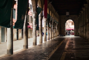 Venice: City Highlights Tour with St Mark's and Gondola Ride