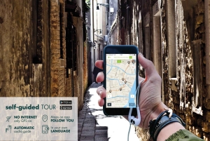 Venezia: tour guidato della Basilica di San Marco con opzione terrazza