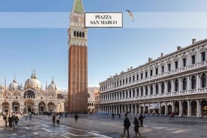 Venedig: Rundgang auf dem Markusplatz und Gondelfahrt
