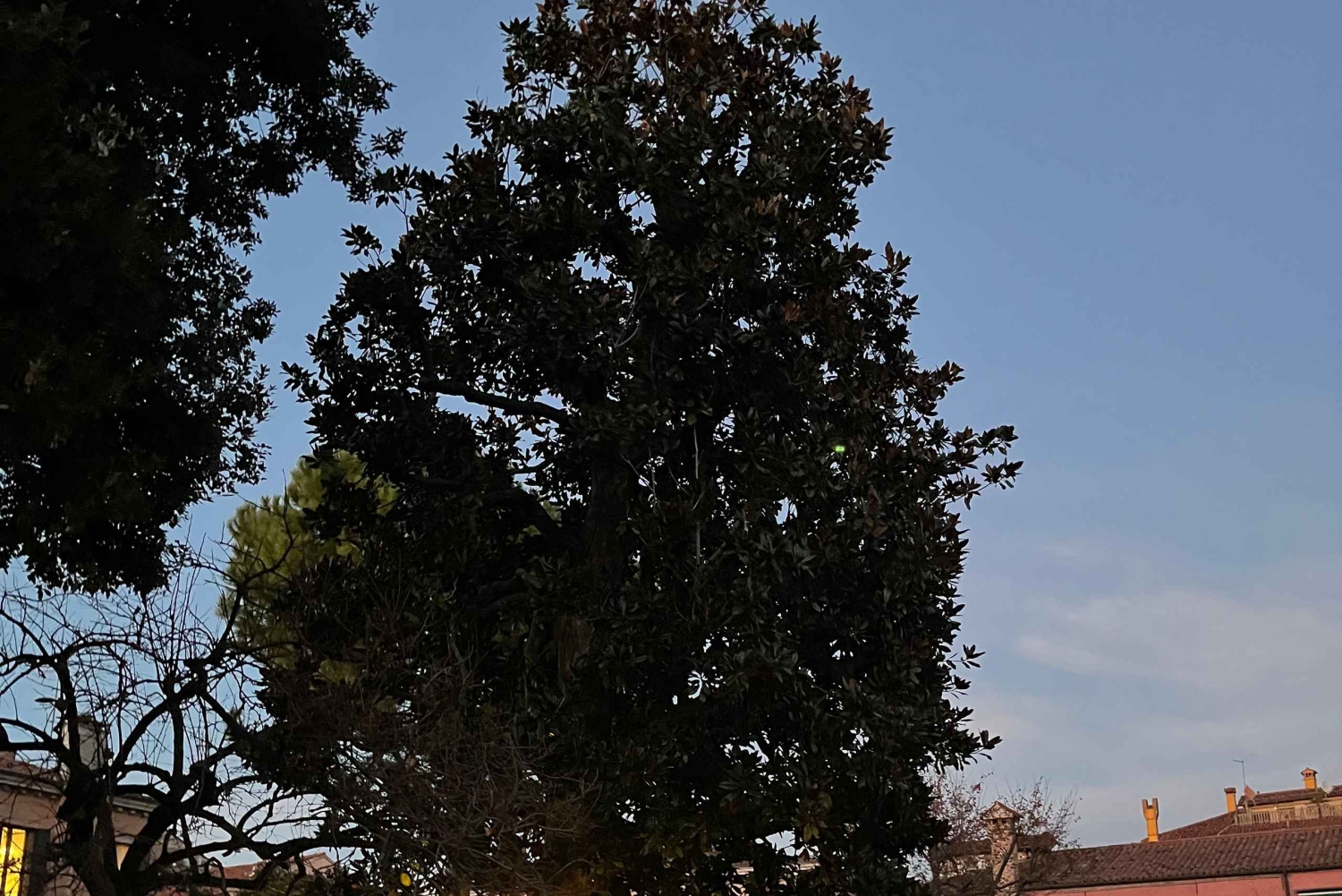 Venice: Sunrise Walking Tour with Espresso