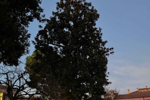 Venice: Sunrise Walking Tour with Espresso