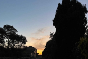 Venice: Sunrise Walking Tour with Espresso