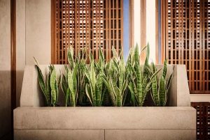 Venezia: Biglietti per il Negozio Olivetti