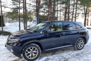 Veneza: Aeroporto VCE e Traslado Privado de 1 Sentido do Porto de Veneza