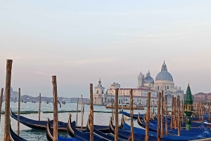 Venedig: Biljett till Vivaldi Baroque Concert och gratis musikmuseum