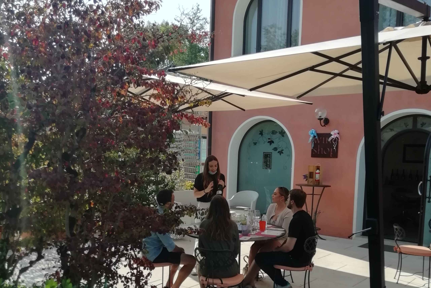 Venedig: vinsmagning langs Unesco Prosecco-bakkerne