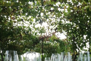 Venedig: vinsmagning langs Unesco Prosecco-bakkerne