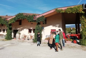 Venedig: vinsmagning langs Unesco Prosecco-bakkerne