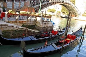 Rundvandring och gondoltur i förtrollande Venedig
